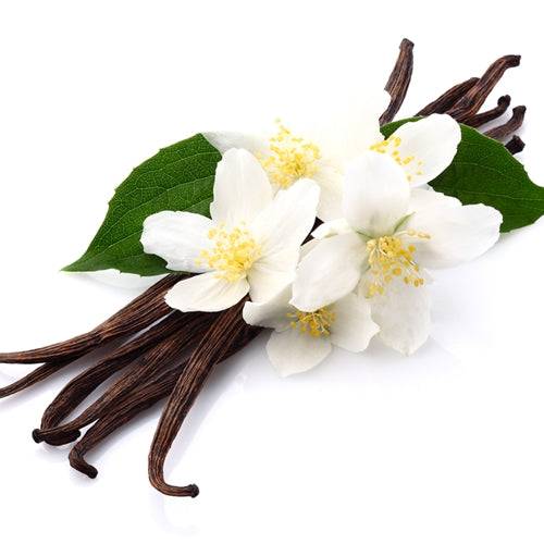 Fleur De Flavor Vanilla Flavor