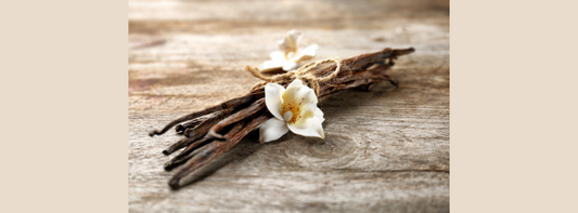 The Ultimate Guide to Vanilla: From Orchid to Extract