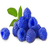 Blue Raspberry Bakery Emulsion Flavor