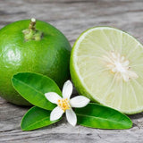 Key Lime Bakery Emulsion Flavor